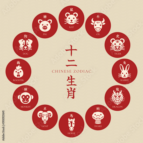 Chinese zodiac vector, showing all twelve animals arranged in a circle with Chinese and English names. Line style illustration symbolizing astrology, horoscopes, tradition, culture, and astrology