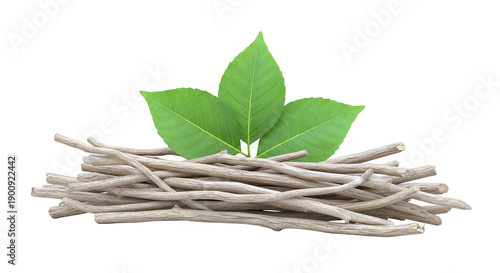 Pile of Ashwagandha Roots with Green Leaves