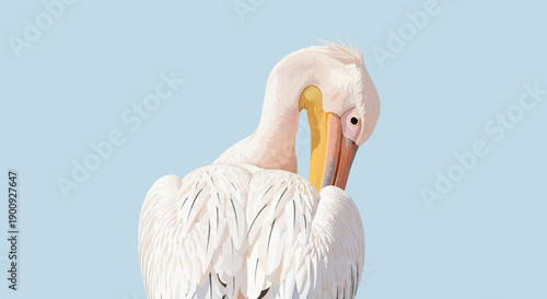 A single light pink pelican preens its feathers against a pale blue backdrop