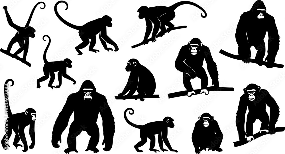 Naklejka premium A set of monkey silhouettes on a white background. Perfect for designs about animals, nature, wildlife, primates, monkeys, apes, jungle, rainforest, conservation, and education