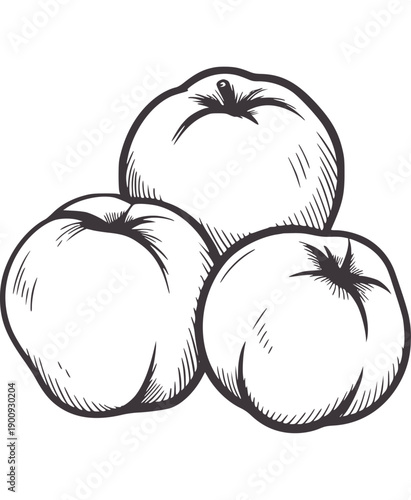 Three hand drawn apples in a pile fruit food group