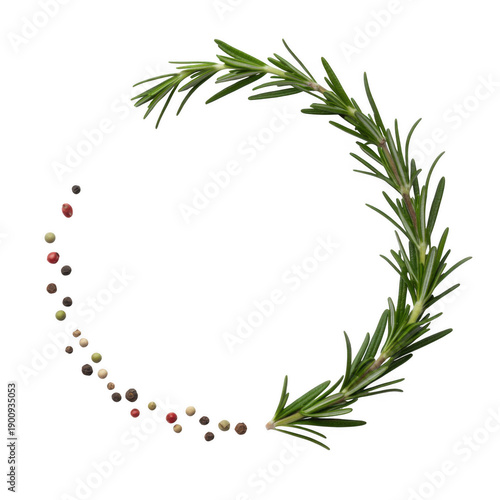 Rosemary sprig and peppercorns isolated on a transparent background