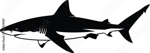 Black and white shark silhouette illustration in side profile view, emphasizing marine predator anatomy for ocean wildlife, aquatic design, and educational purposes