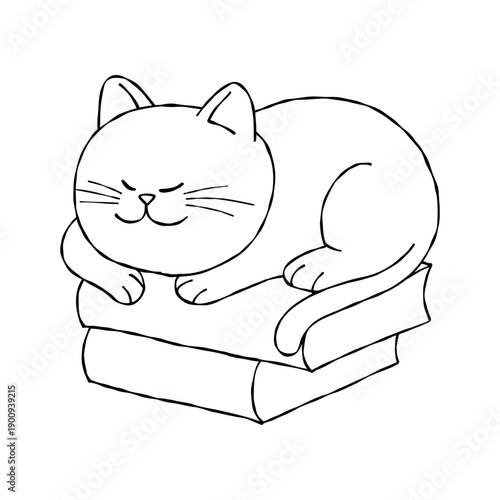 Cartoon cat sleeping on the book outline line art black and white relaxation peaceful feline napping calmly stacked books