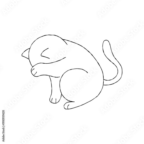 Cute cat grooming its face shyly with a gentle pose. Simple black and white hand-drawn doodle style