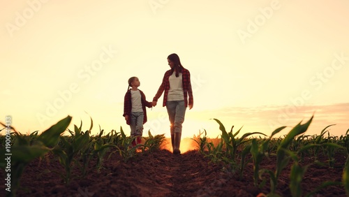 agriculture, child kid farmer organic food, green leaves farm, happy family, children dream, child go hand, mother child hand parent farmer, ripening harvest, green seedling sprouts field, small child