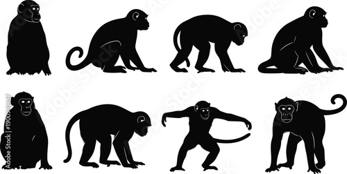 Black silhouette illustrations of monkeys in various poses and stances, showcasing primate anatomy, wildlife behavior, animal design, and educational reference