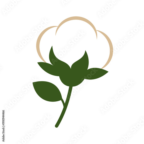 Cotton flower with green sepals and smooth fluffy boll. Minimalist eco-themed illustration for farm product packaging