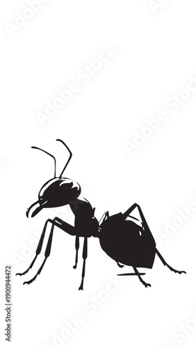 Close up silhouette of a black ant on a white background in detailed macro view.