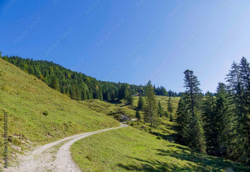 Fototapeta premium Bergwandweg über die sonnigen Wiesen der Waitzinger Alm und Petzingalm dem Pfanngraben folgend nach Rotwandhaus in Bayerischen Voralpen 
