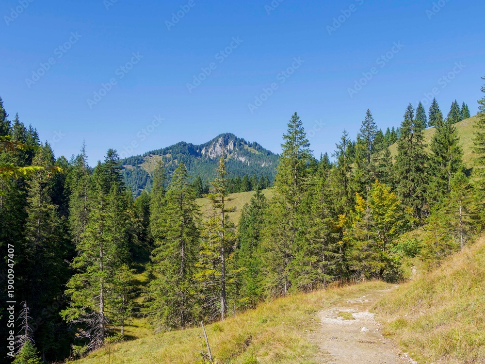Obraz premium Entlang der Pfanngrabenschlucht verläuft ein breiter, ausgesetzter Wanderweg in wilder Naturlandschaft mit außergewöhnlichen Ausblicken auf die umliegenden Gipfel und Almen 