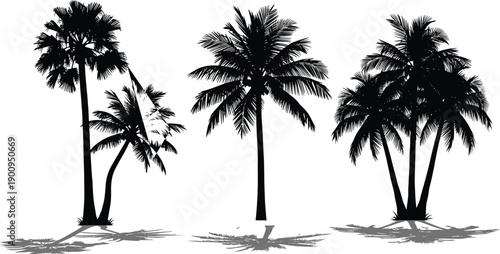 Black silhouette of tropical coconut palm trees isolated on white background with realistic shadows for summer vacation beach travel poster and graphic design projects