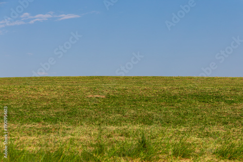 Wallpaper Mural Green grass field with blue sky on a summer day. Torontodigital.ca