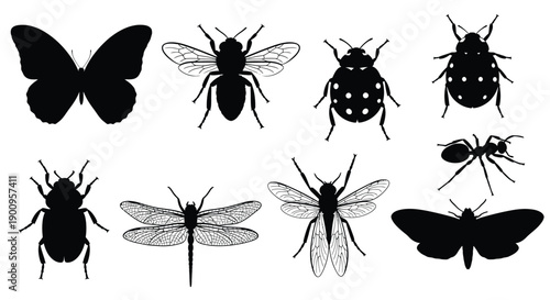 Set of Insect Silhouettes Icons