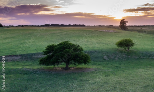 Pampas countryside landscape, La Pampa Province, Patagonia, Argentina.