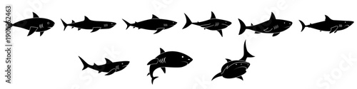 Shark vector icon set. Fish Illustration sign collection. Ocean life symbol or logo.