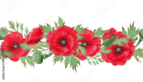 Photos Watercolor seamless horizontal border with poppy flowers, buds and seed pods