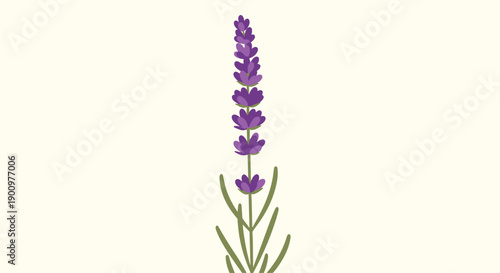 Delicate single lavender flower stalk, adorned with vibrant purple blossoms and slender green leaves, presented in a minimalist, natural style on a light beige background.
