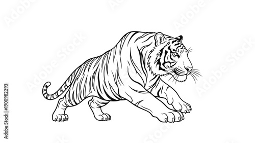 Tiger in Motion Stalking Prey