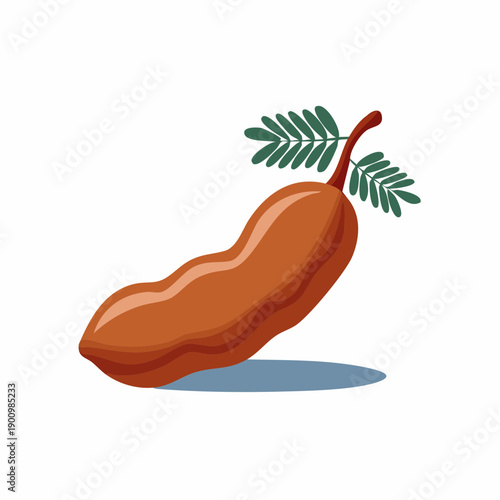Tamarind fruit with leaves, vector illustration of a ripe sweet brown Tamarind, healthy natural food icon, tropical fruits, vegetarian diet