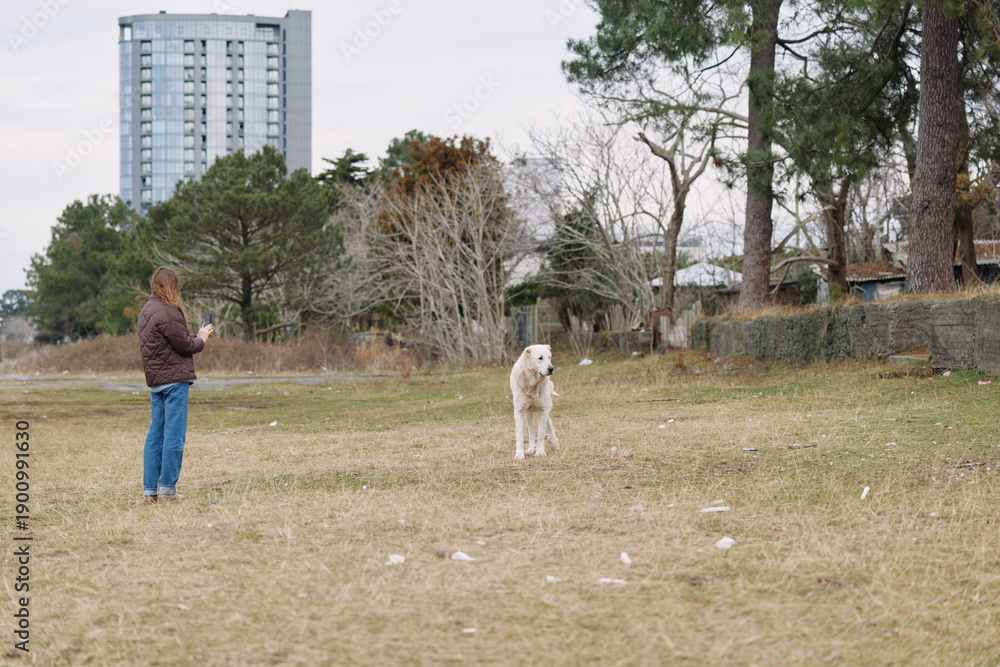 Fototapeta premium Person in casual clothes with a dog in an open park, daytime scene, city skyline in the distance, a calm outdoor moment today.