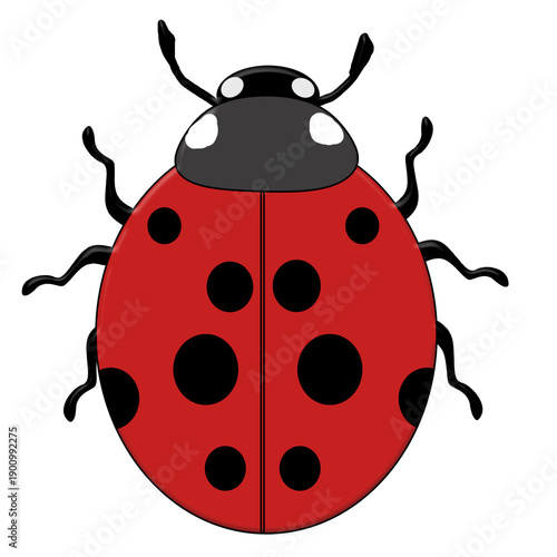 clipart coccinelle rouge, PNG fond transparent