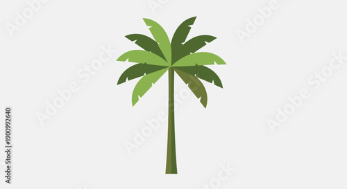 Stylized Green Palm Tree Icon on White Background, Vector Illustration
