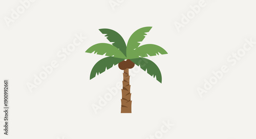Simple Stylized Palm Tree with Coconut, Flat Design Vector Illustration