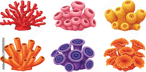 Colorful cartoon illustration of diverse coral species including branching, tubular, knobby, circular, and fan shapes, showcasing marine biodiversity, ocean  underwater nature, and educational design