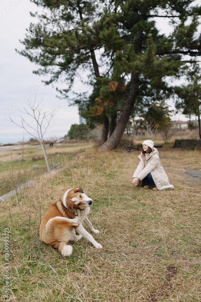 Naklejka premium Woman kneeling by a calm riverside with a large dog resting on grass, trees in the background under overcast sky, a peaceful outdoor moment.