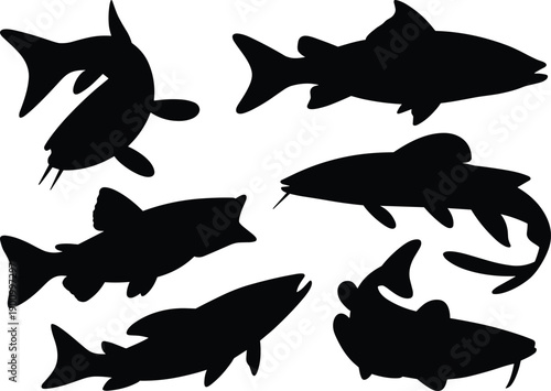 Black fish silhouettes collection isolated on white background, freshwater and river fish shapes set, minimal vector illustration for fishing, wildlife, nature, and design projects