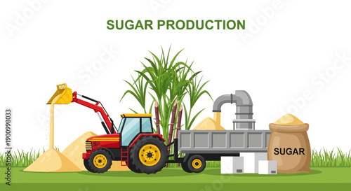 Illustration of a red tractor harvesting sugarcane with a loader and conveyor belt on a green field.