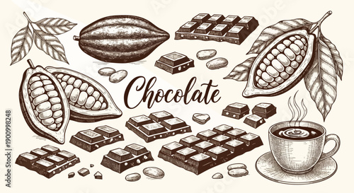Delicious Chocolate Assortment: Cacao Pods, Bars, Beans, and Hot Cocoa Cup - Vintage Engraving Style.