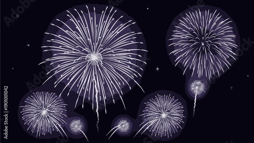 Purple Fireworks Exploding in the Night Sky