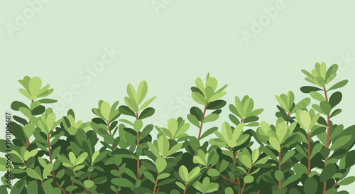 Abstract minimalist green foliage against a pale green background