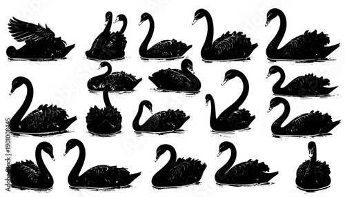 Fifteen black swans in three rows of five, each with red beaks and subtle posture variations. Reflections in water show graceful progression of wing movement, emphasizing symmetry and fluid motion.
