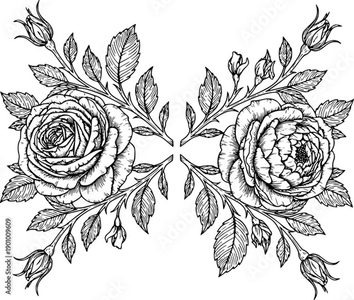 Symmetrical rose floral composition in refined black and white line art vector. Featuring two blooming roses with leaves and buds arranged in balanced botanical ornament style