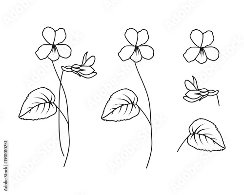 Violet February Birth Month Flower Bundle