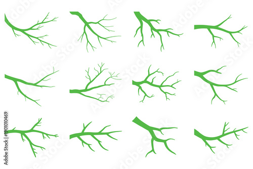 Green Tree Branch Silhouettes Isolated on White Background - Collection