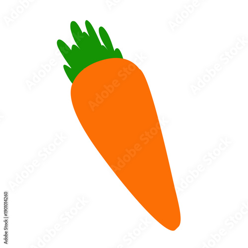 Carrot vector illustration
