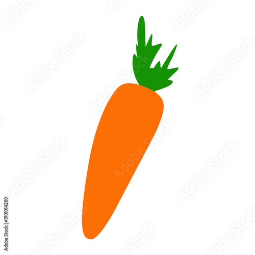Carrot vector illustration