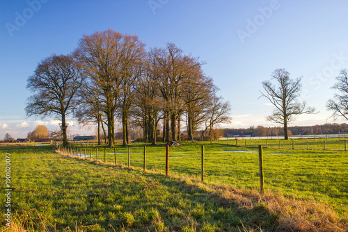 Wallpaper Mural German countryside landscape in winter, Lower Rhine Region, Germany Torontodigital.ca