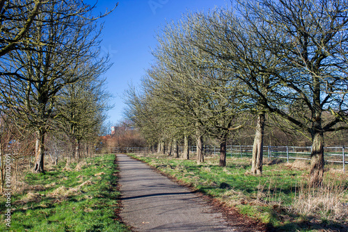 Wallpaper Mural German countryside landscape in winter, Lower Rhine Region, Germany Torontodigital.ca