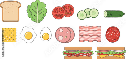 Fresh sandwich ingredients vector set featuring bread slices, lettuce, tomato, cucumber, eggs, ham, bacon, salami, and cheese for deli menu design and food icons.