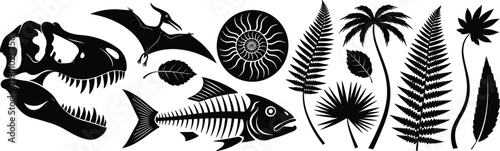 Prehistoric fossil collection with dinosaur skull pterodactyl ammonite fish skeleton and tropical fern leaves cad drawing flat vector illustration for science