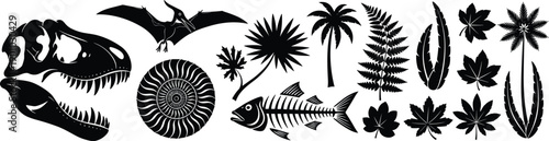 Vintage prehistoric dinosaur skull fossil silhouette collection with ammonite shell pteroasur fish skeleton and tropical mesozoic era botanical leaf plant flora (21 words)