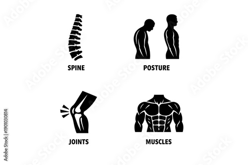 Human Body Anatomy Icons Set Showing Spine, Posture, Joints and Muscles