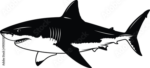 Black and white CAD drawing flat vector illustration of a great white shark marine predator fish isolated on white background