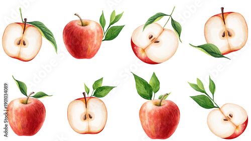 Red Apple Watercolor Illustration Set