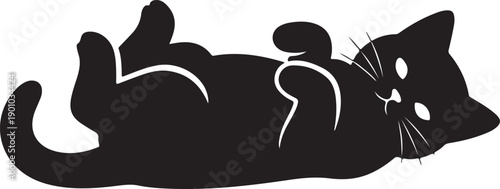 A black cat lies on its back in a playful pose